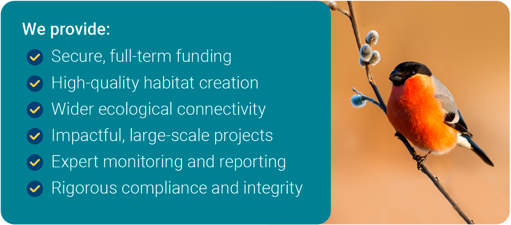 Image with Text - Secure Funding, High-Quality Habitat Creation, Ecological Connectivity, Etc.